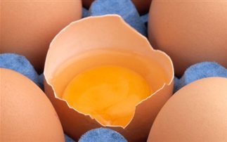 Πολύτιμο τρόφιμο για την διατροφή των παιδιών το αυγό